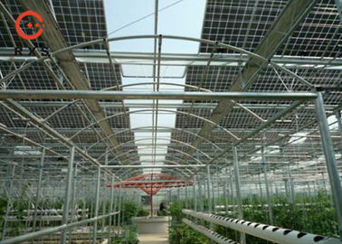 ثنائي الزجاج أحادي البلورية للطاقة الشمسية لوحة ، 305W Perc الألواح الشمسية نوع شفاف